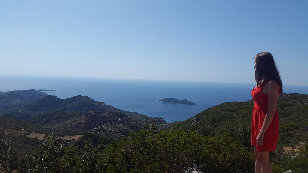 Spiros Family Apts 公寓 Laganas